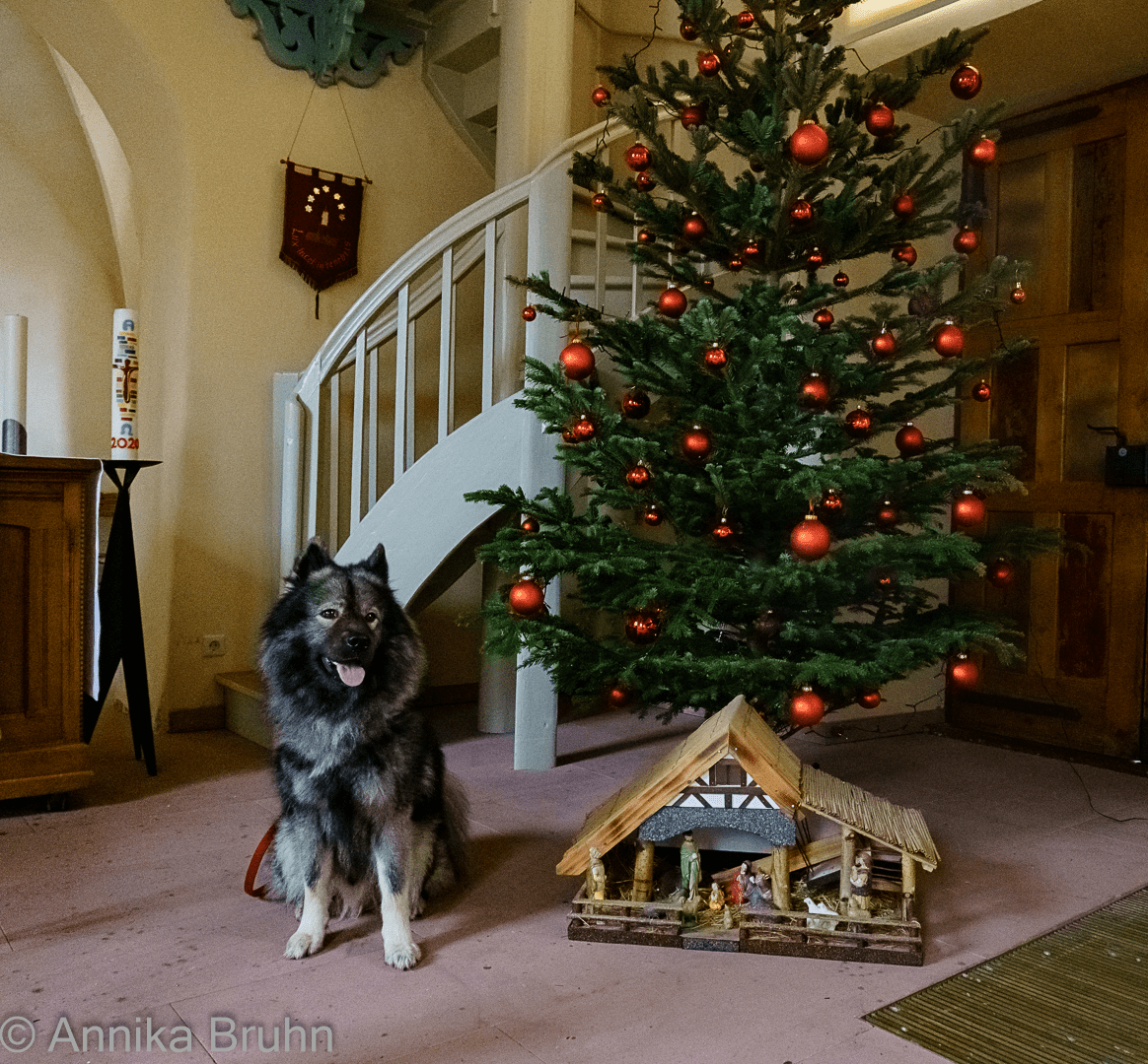Frohe Weihnachten